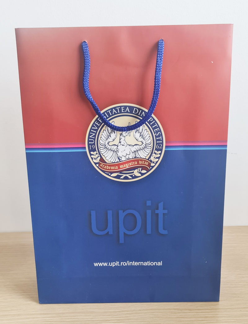 Fancy paper bag with offset printing